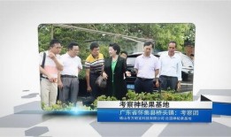 万顺科技最新爆料新闻,揭秘企业创新突破与市场布局